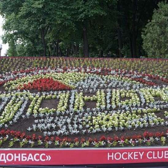 Логотип "Донбасса" из 500 цветов
