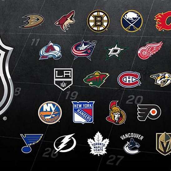 НХЛ изучает 8-9 мест для возобновления сезона